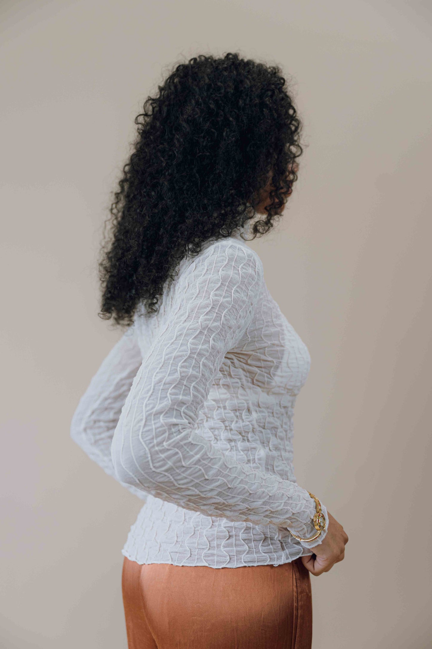 Crinkle shirred turtleneck long sleeve top