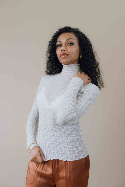 Crinkle shirred turtleneck long sleeve top